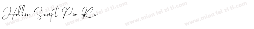 Hollie Script Pro Re字体转换